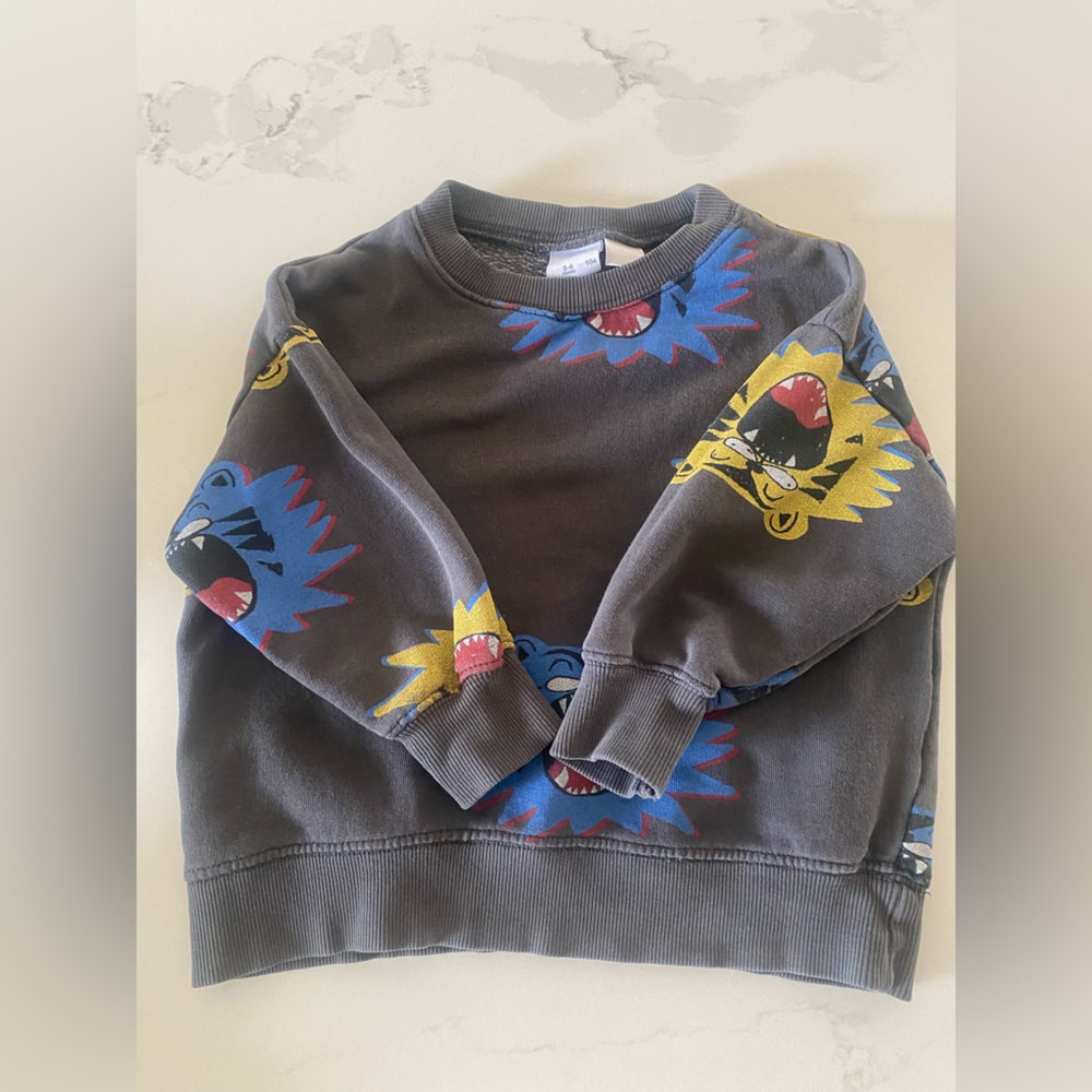 Zara Gray Sweatshirt with Blue and Red Design